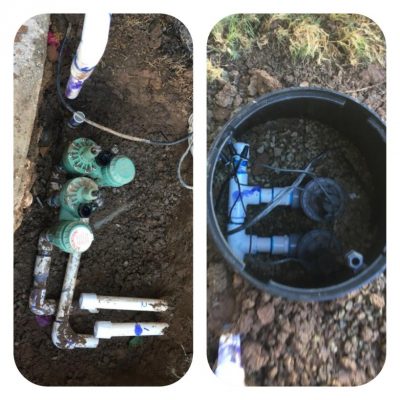 Before & After Irrigation