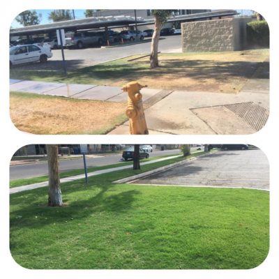 Before & After Landscaping