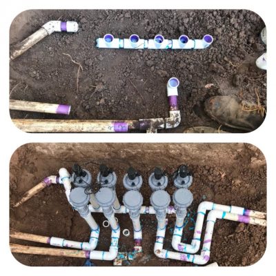 Before & After Irrigation